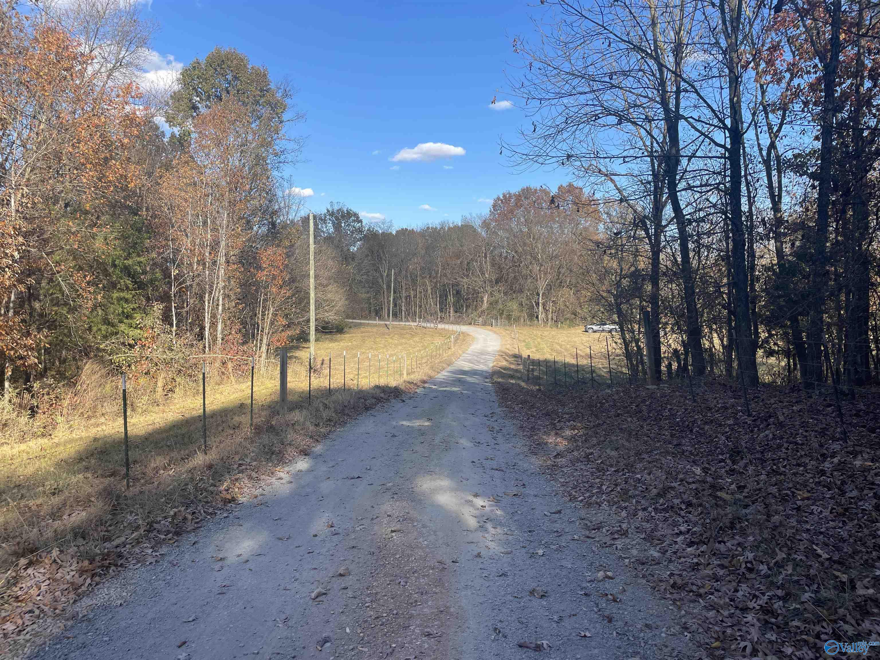 49 Acres County Road 56, Russellville, Alabama image 18