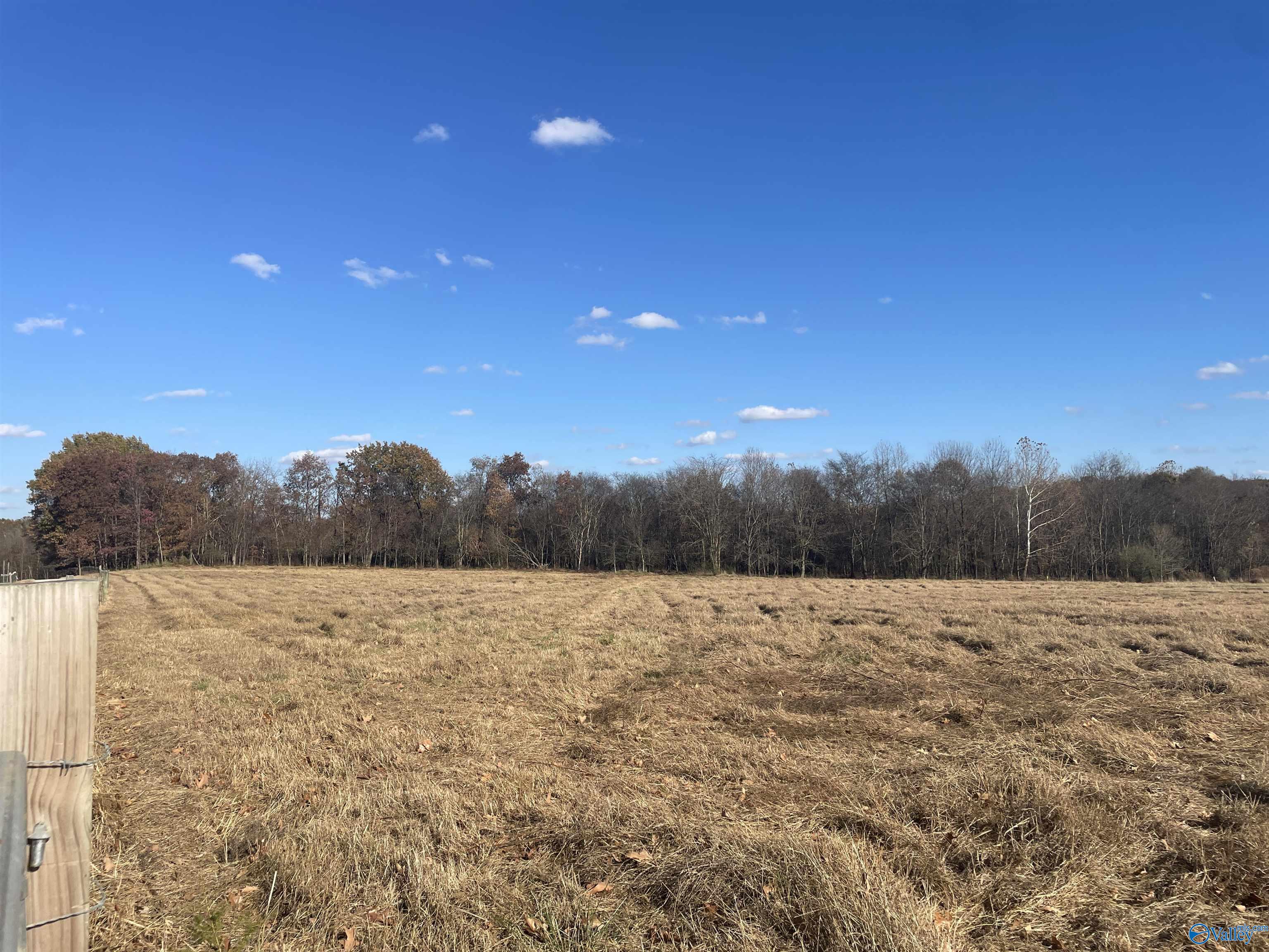 49 Acres County Road 56, Russellville, Alabama image 11