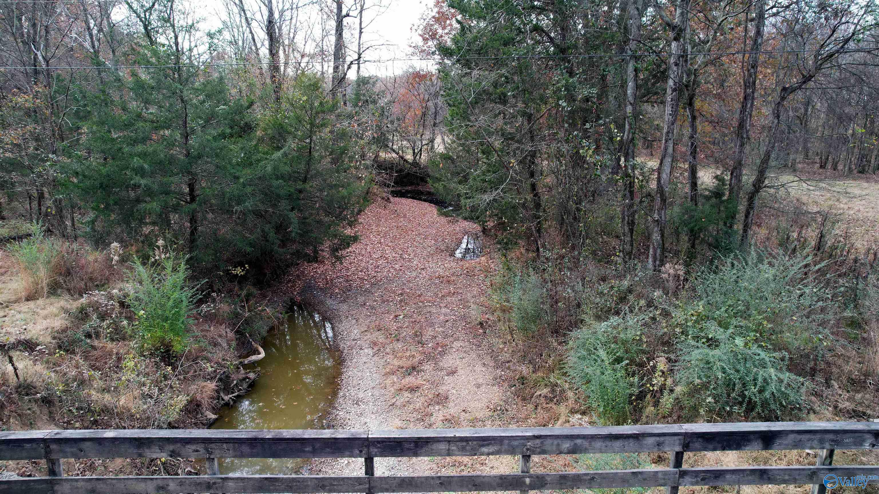 49 Acres County Road 56, Russellville, Alabama image 9