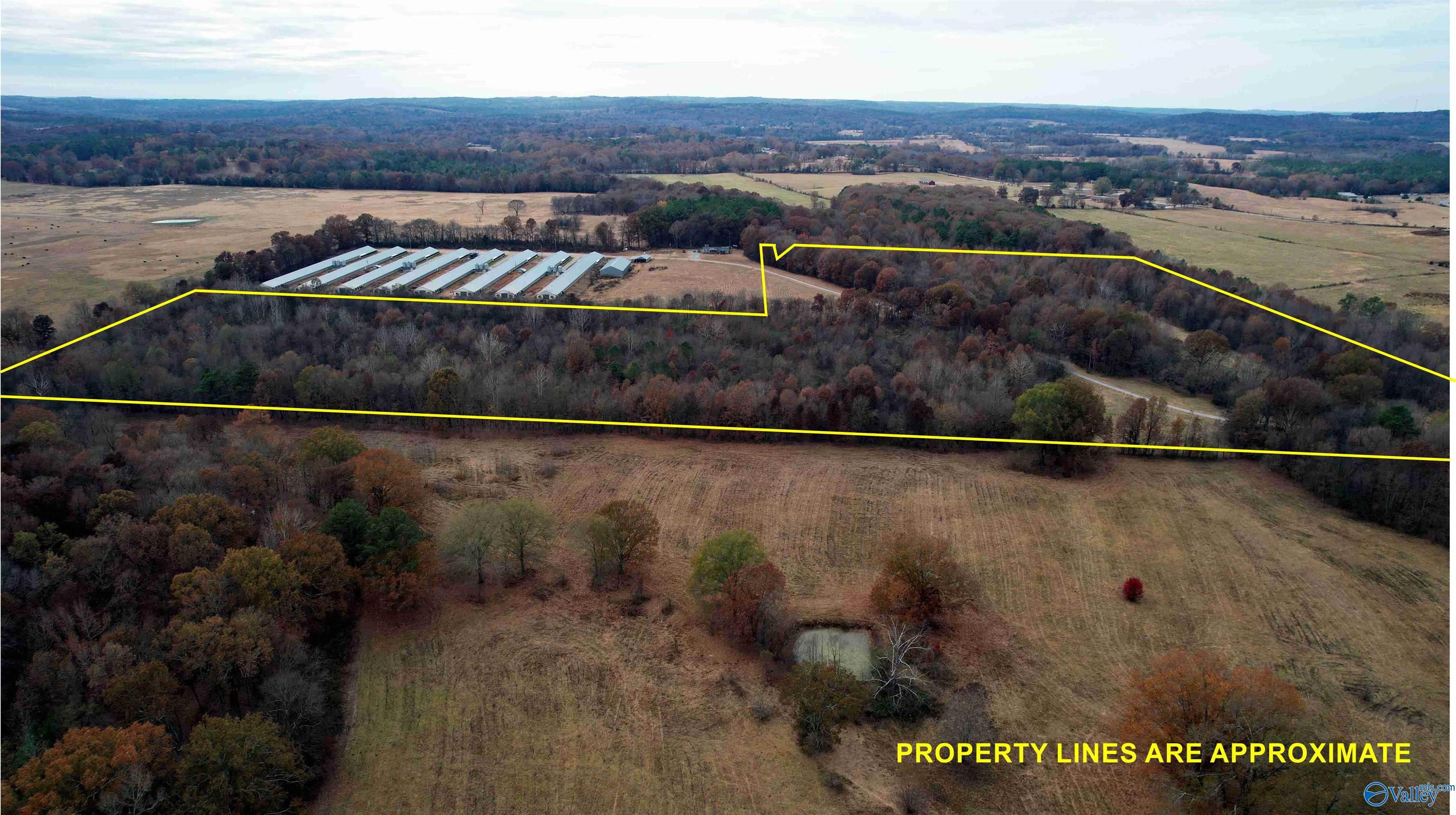 49 Acres County Road 56, Russellville, Alabama image 38