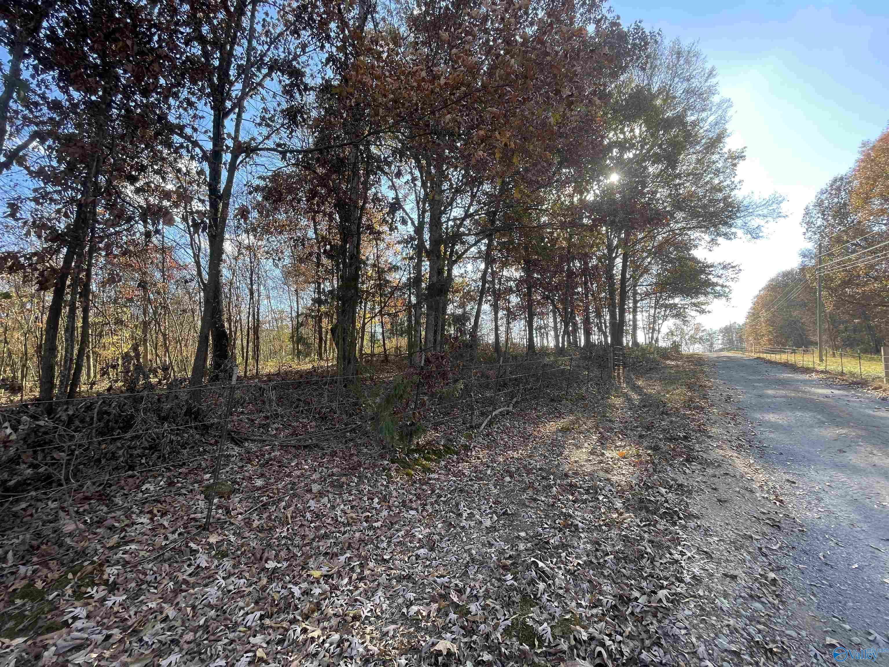 49 Acres County Road 56, Russellville, Alabama image 20