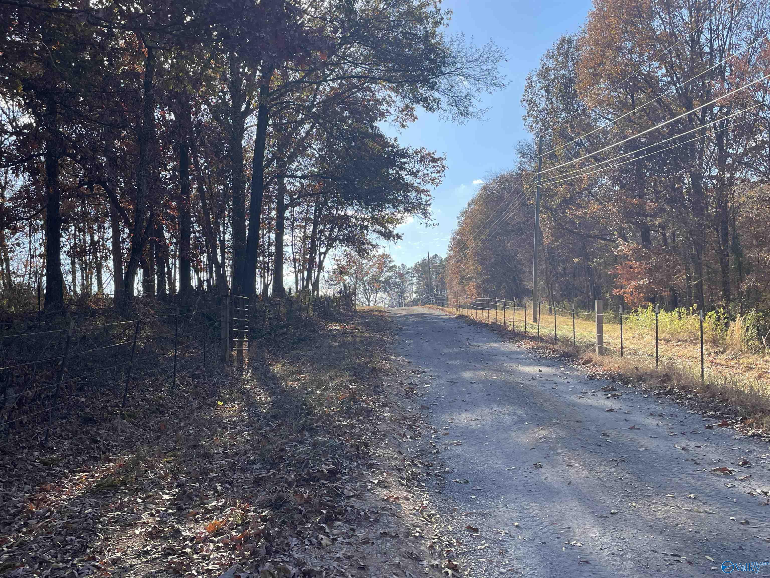 49 Acres County Road 56, Russellville, Alabama image 19