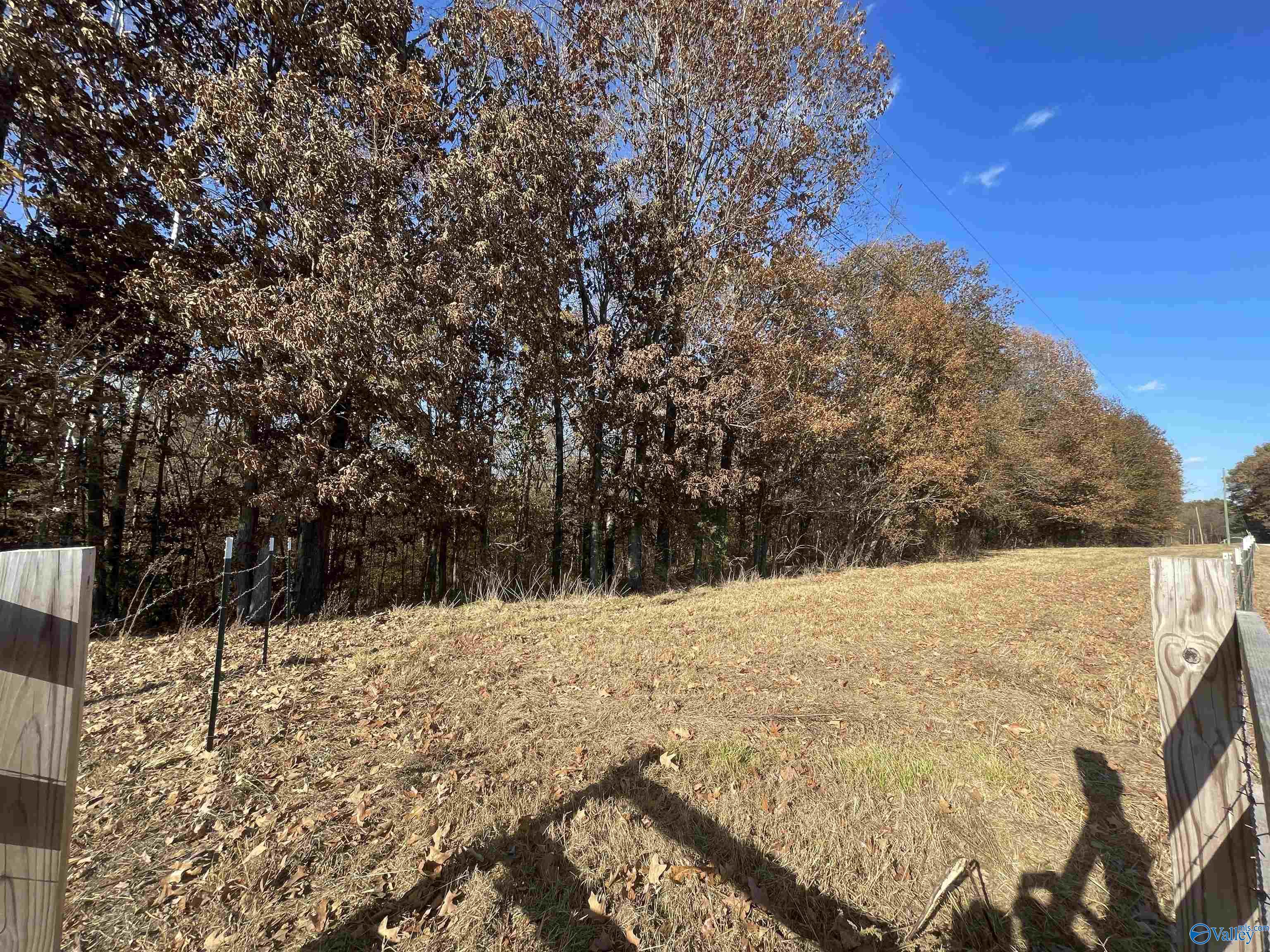 49 Acres County Road 56, Russellville, Alabama image 14