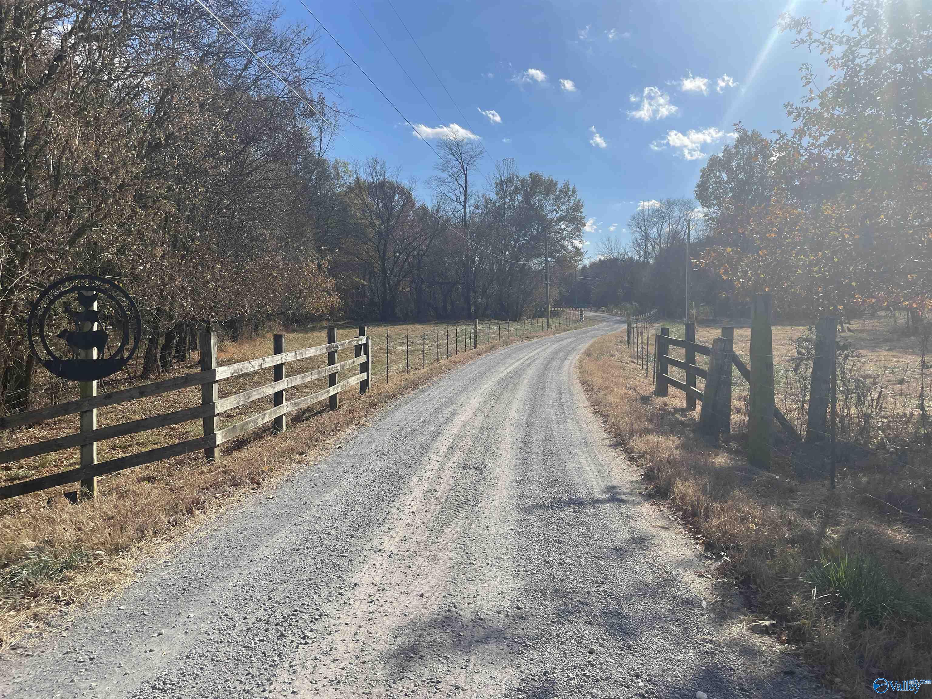 49 Acres County Road 56, Russellville, Alabama image 1