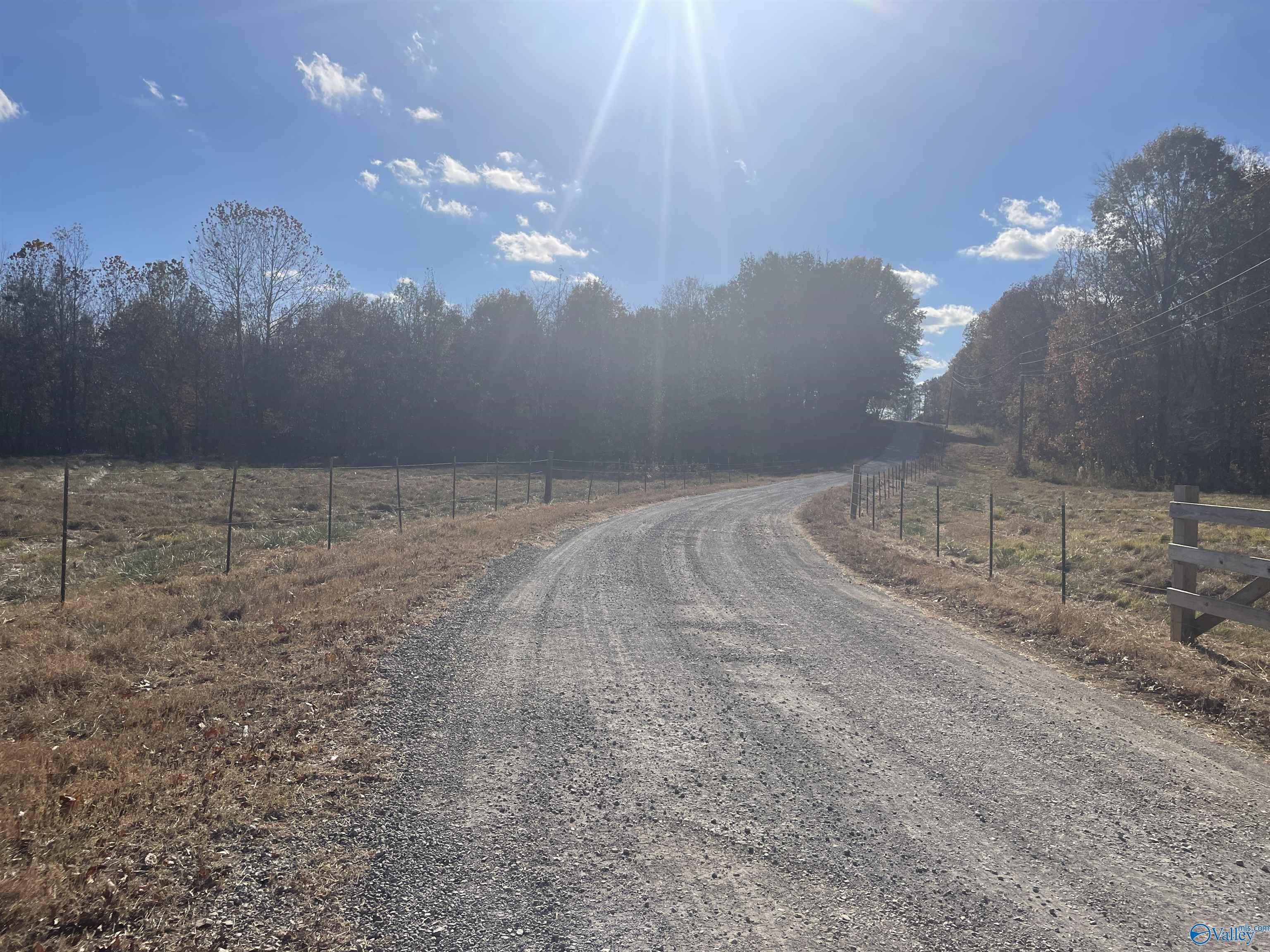 49 Acres County Road 56, Russellville, Alabama image 6