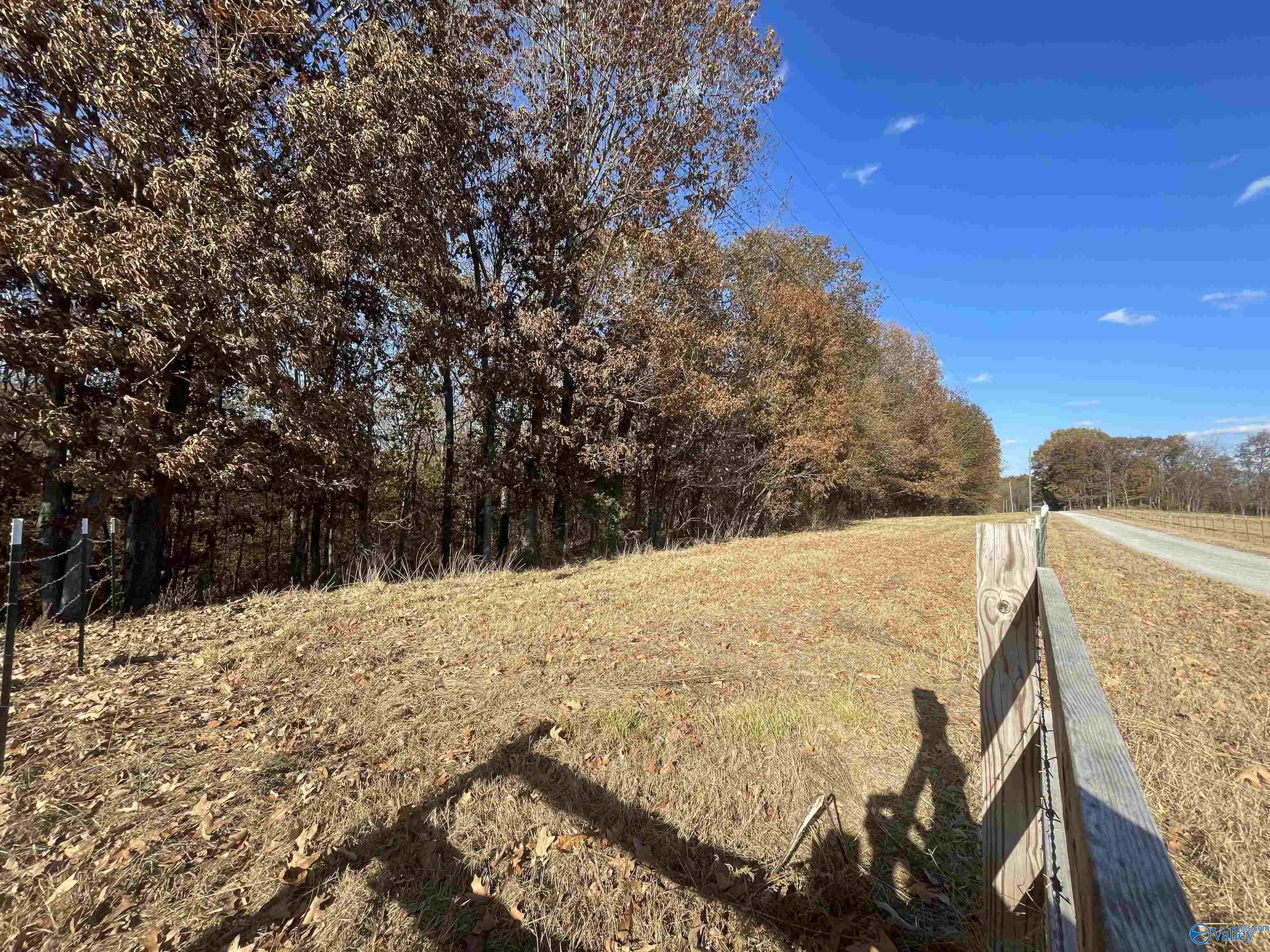 49 Acres County Road 56, Russellville, Alabama image 13