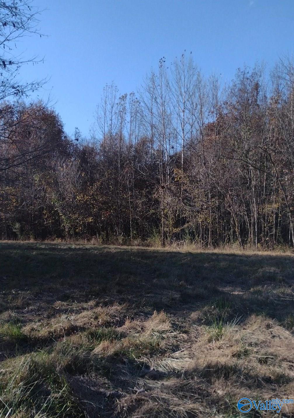 49 Acres County Road 56, Russellville, Alabama image 32