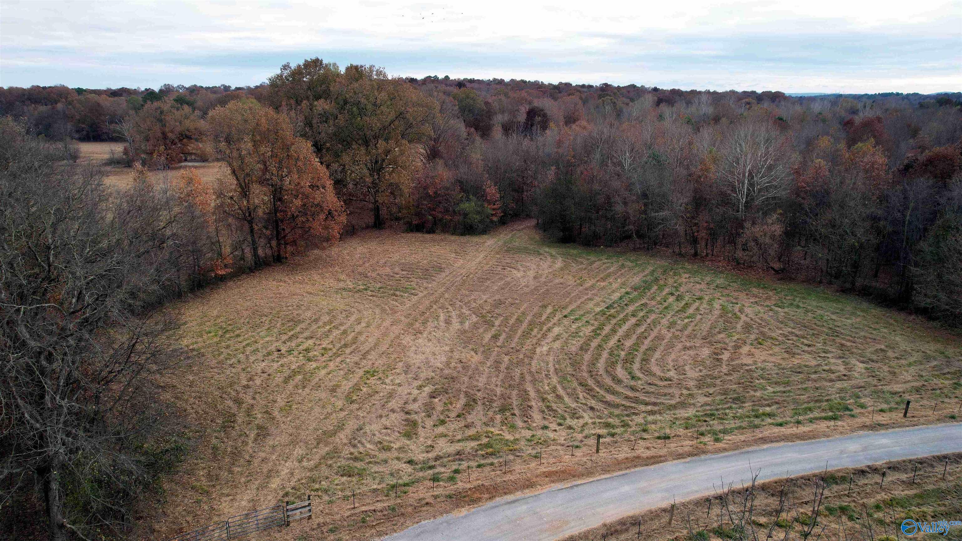 49 Acres County Road 56, Russellville, Alabama image 35