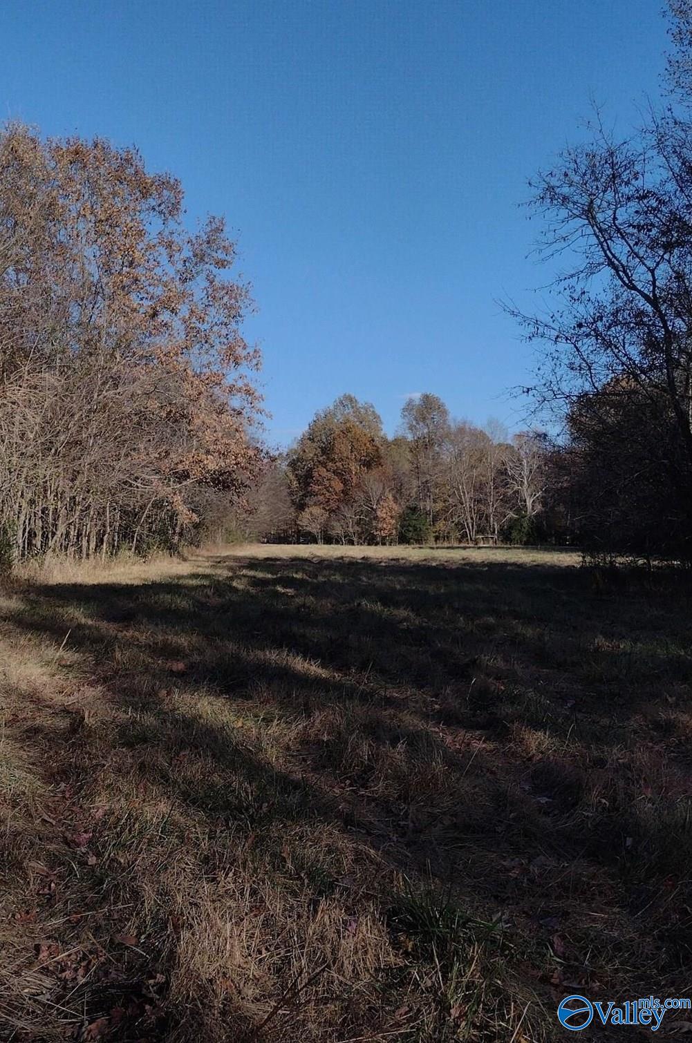 49 Acres County Road 56, Russellville, Alabama image 31