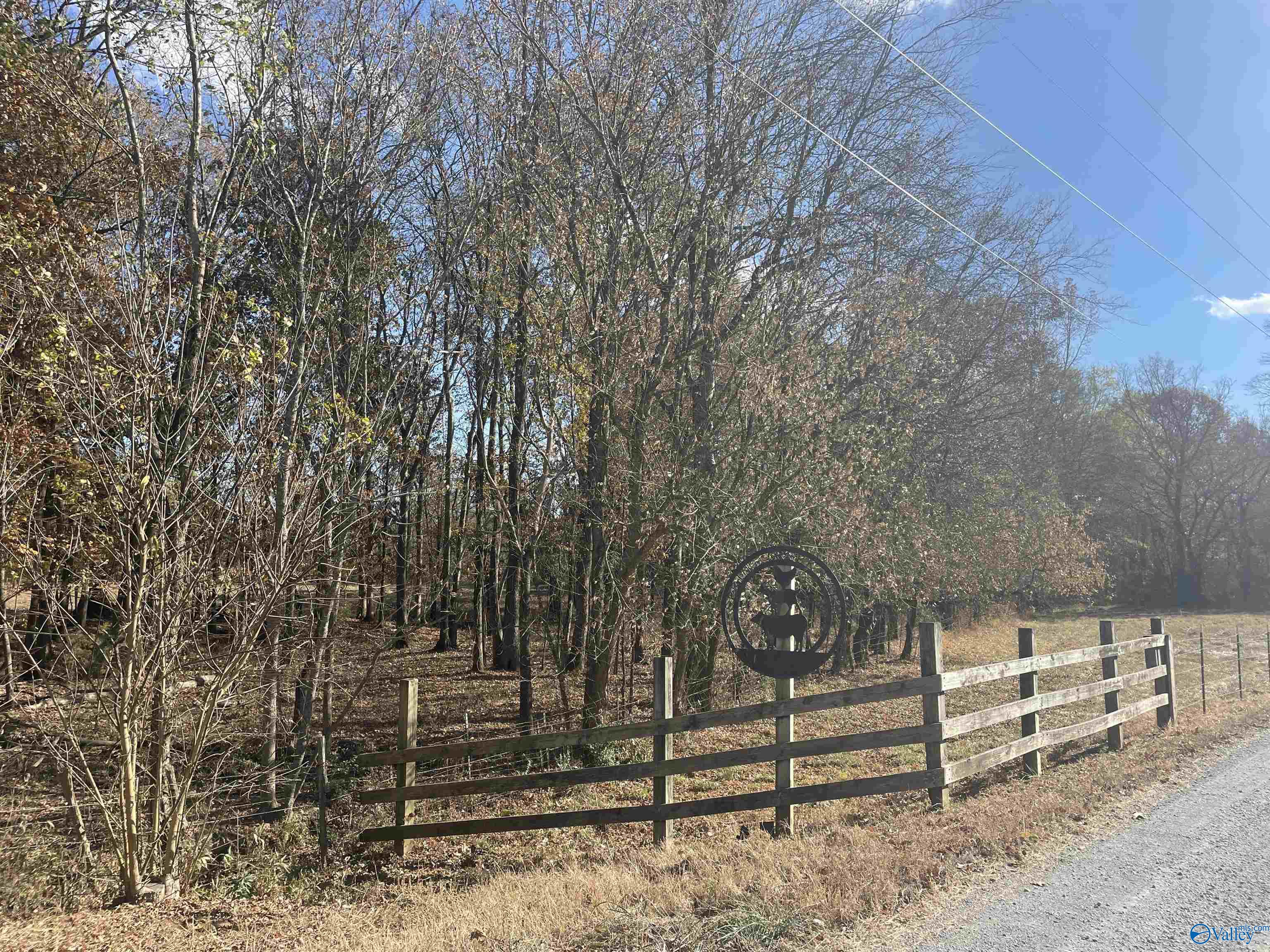 49 Acres County Road 56, Russellville, Alabama image 3