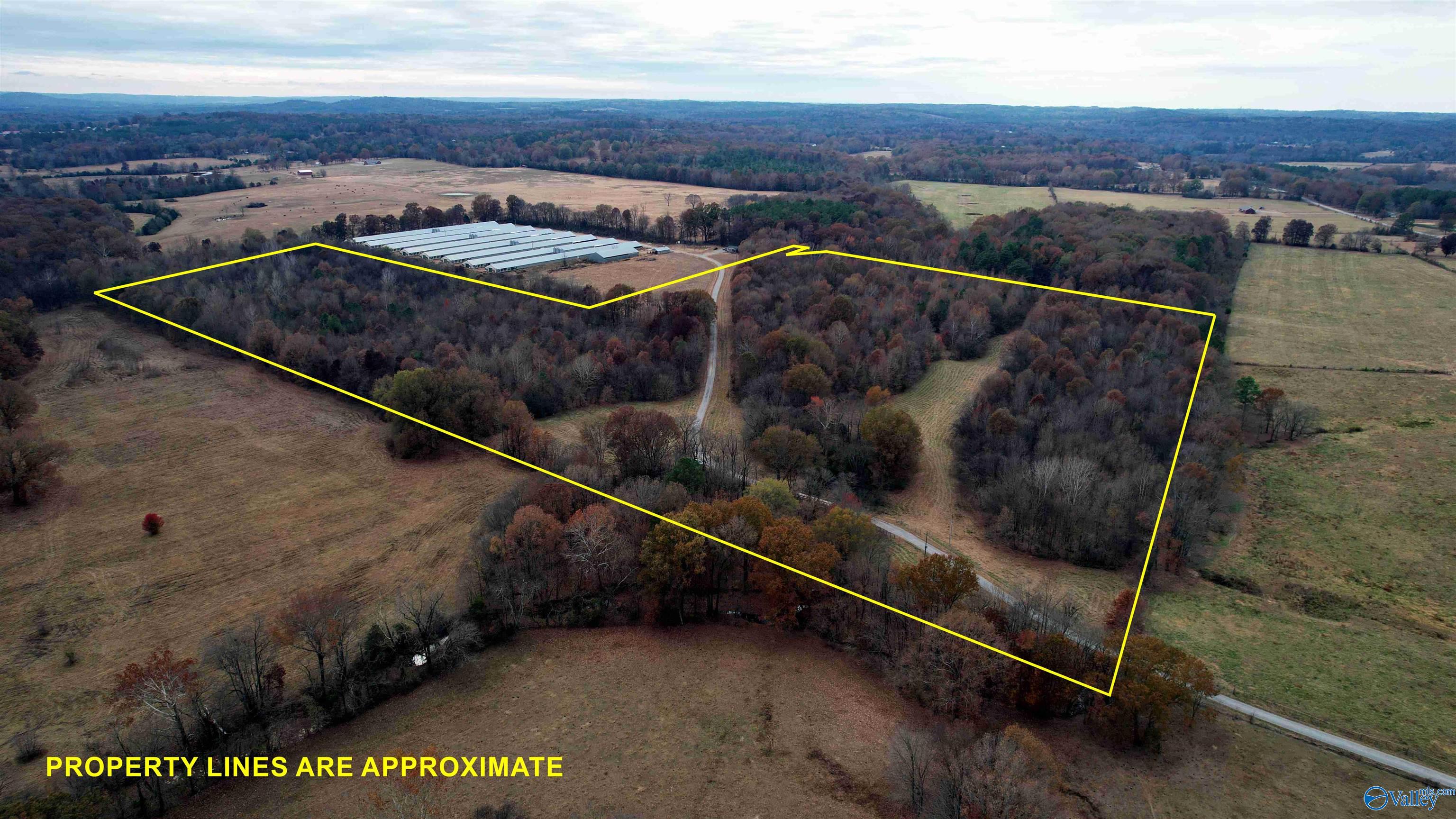 49 Acres County Road 56, Russellville, Alabama image 37