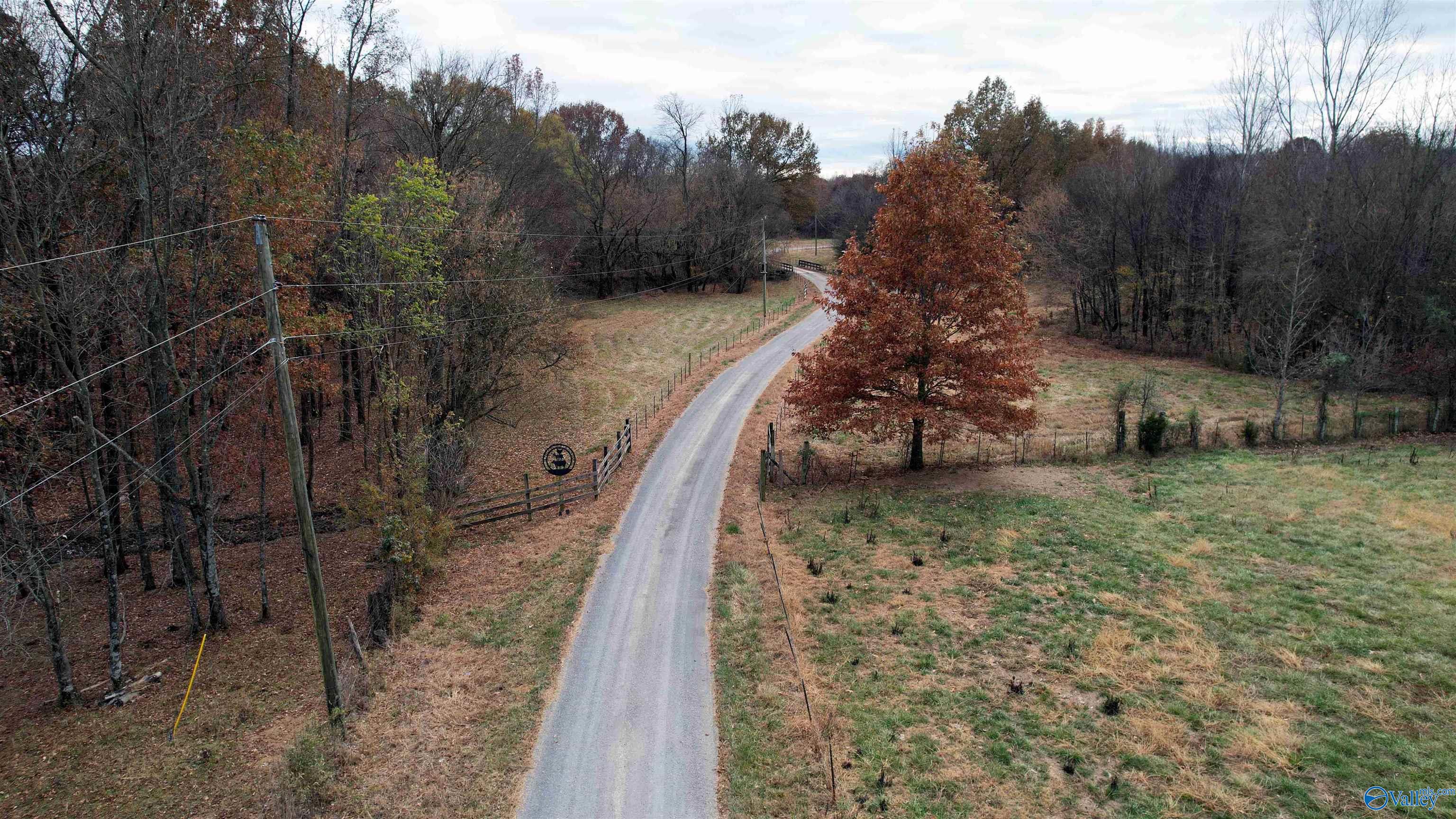 49 Acres County Road 56, Russellville, Alabama image 2