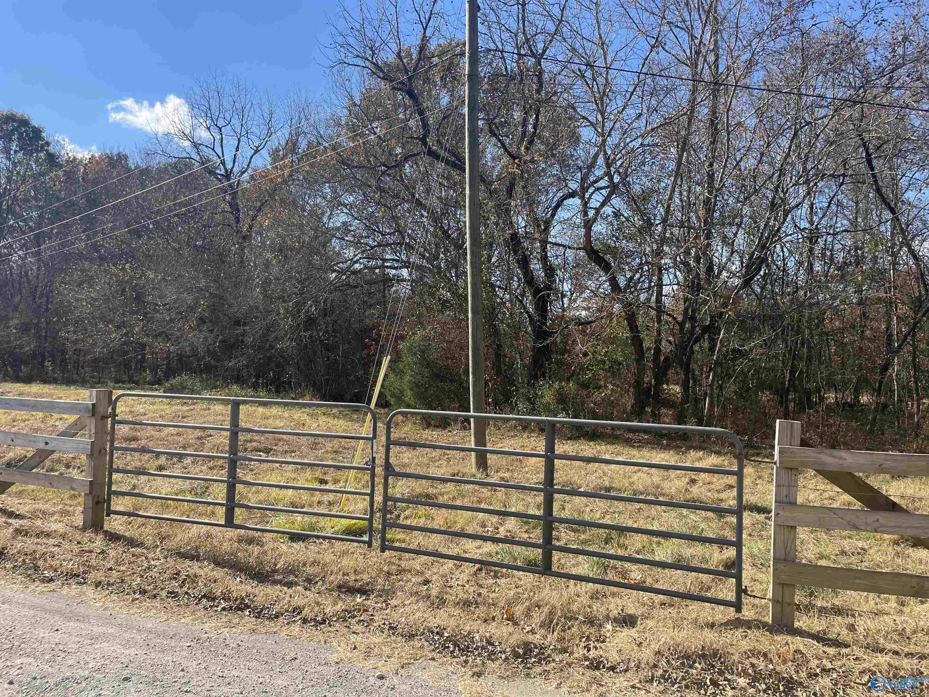 49 Acres County Road 56, Russellville, Alabama image 7