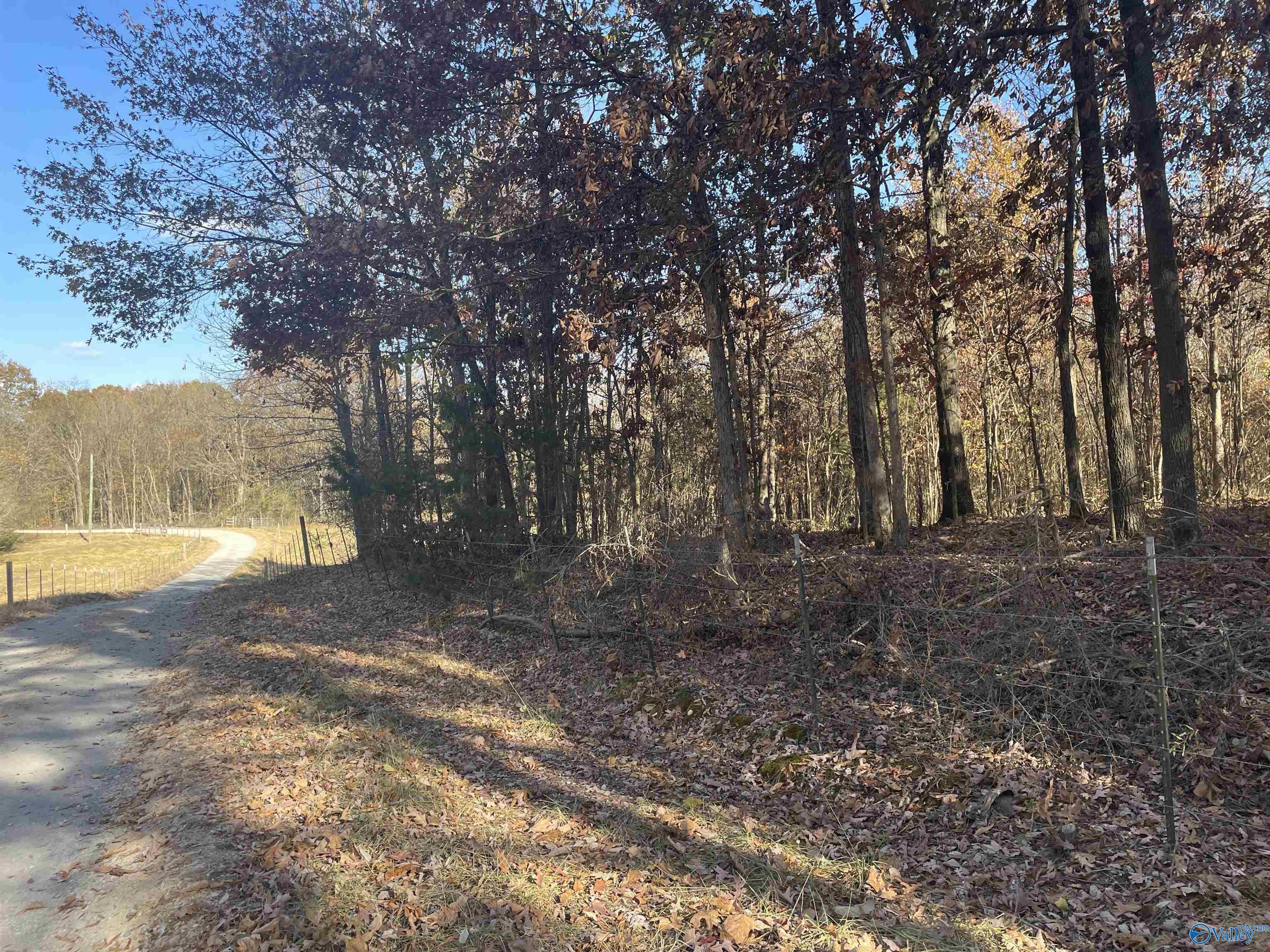 49 Acres County Road 56, Russellville, Alabama image 16