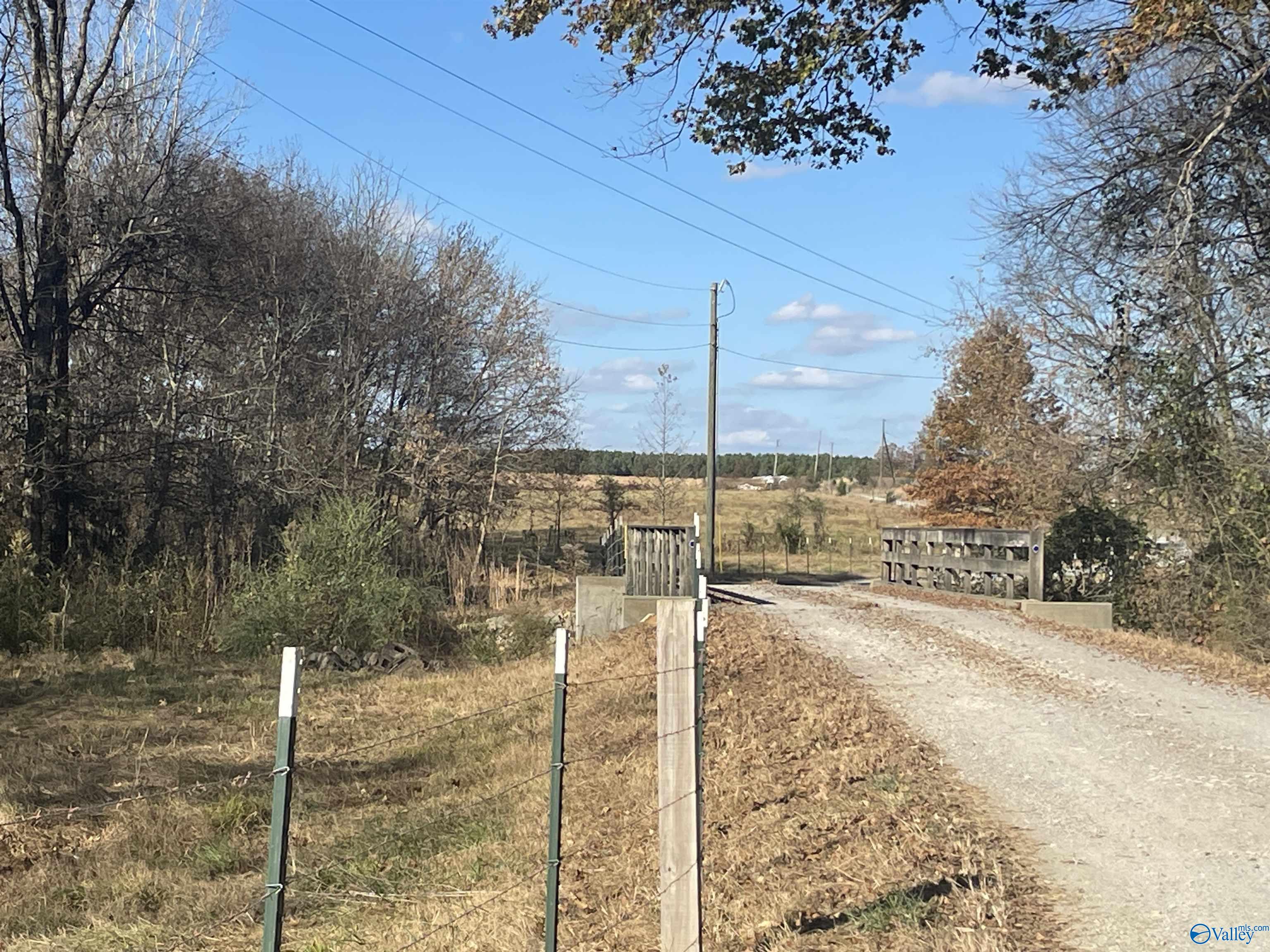 49 Acres County Road 56, Russellville, Alabama image 8