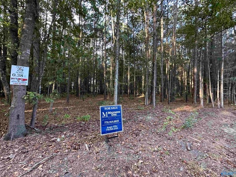 Vacant Land For Sale - 24 County Road 1011 #LOT 29<br/> Cherokee County, Centre, AL 35960