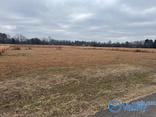 .47 Acres Red Hill Road, Athens, Alabama image 2