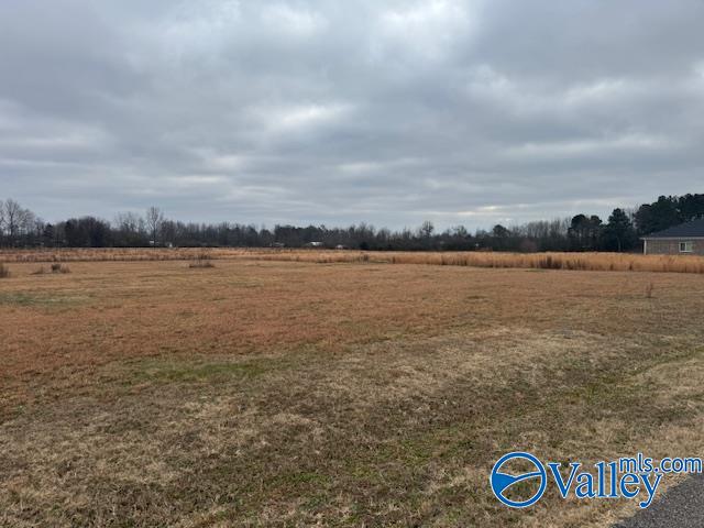 .47 Acres Red Hill Road, Athens, Alabama image 1