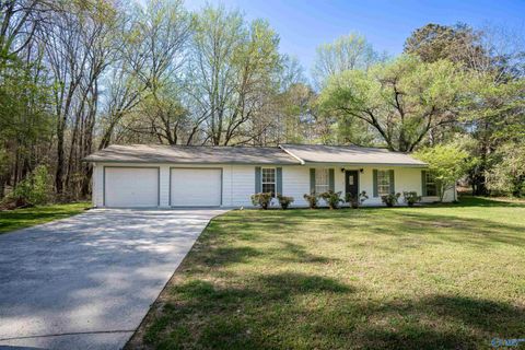 1416 Skyline Avenue Fort Payne AL 35967