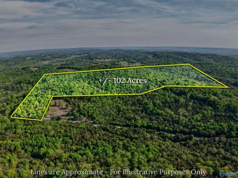 Vacant Land For Sale - 475 Old Elkton Pike<br/> Fayetteville, TN 37334