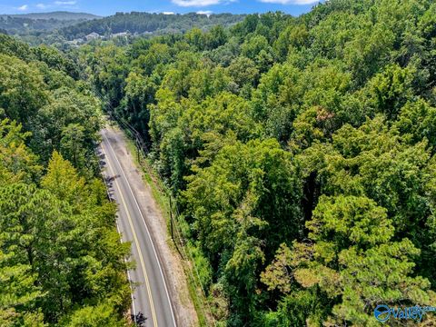 Vacant Land For Sale - 2520 Sweeney Hollow Road<br/> Birmingham, AL 35215