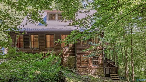 Homes For Sale - 984 Murphy Hollow Road<br/> Dade County, Trenton, GA 30752