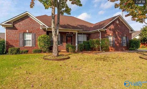 Photo of 226 Jackies Terrace, Madison, AL 35758 (MLS # 21905558)