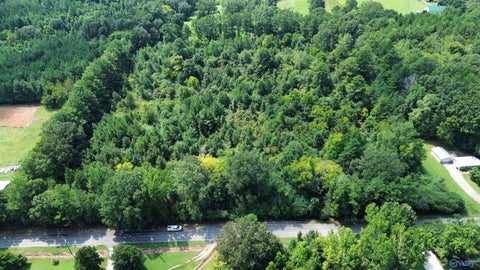 Vacant Land For Sale - 10 ACRES Snake Road<br/> Limestone County, Athens, AL 35611