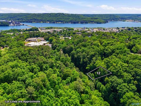 Vacant Land For Sale - LOT 12 Lusk Street<br/> Guntersville, AL 35976