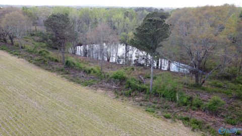 Vacant Land For Sale - 22.63 ACRES Walker Road<br/> Etowah County, Boaz, AL 35956