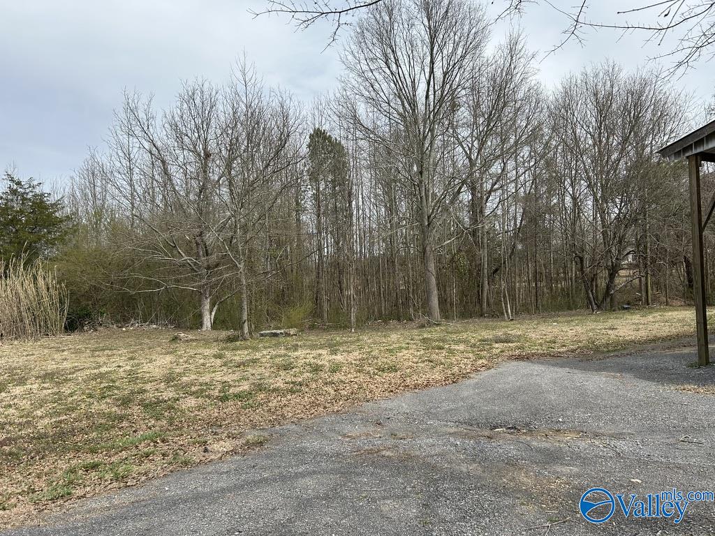 3568 Hopewell Road, Arab, Alabama image 14