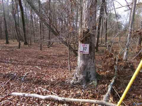 Vacant Land For Sale - LOT 37 County Road 243<br/> Cherokee County, Cedar Bluff, AL 35959