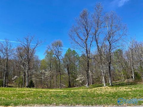 Vacant Land For Sale - 151 Ridgecreek Drive<br/> Gurley, AL 35748