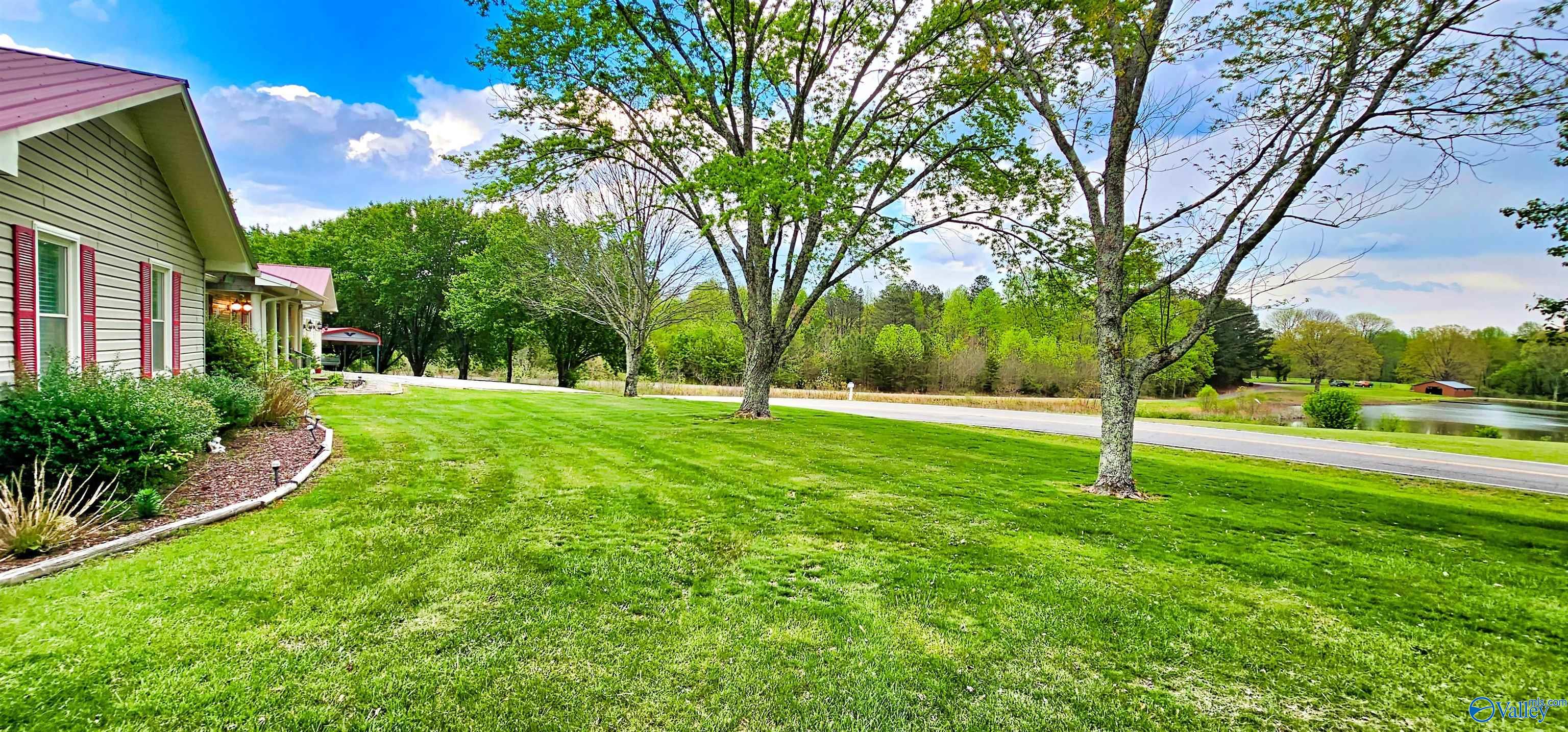 3371 County Road 8, Woodville, Alabama image 9