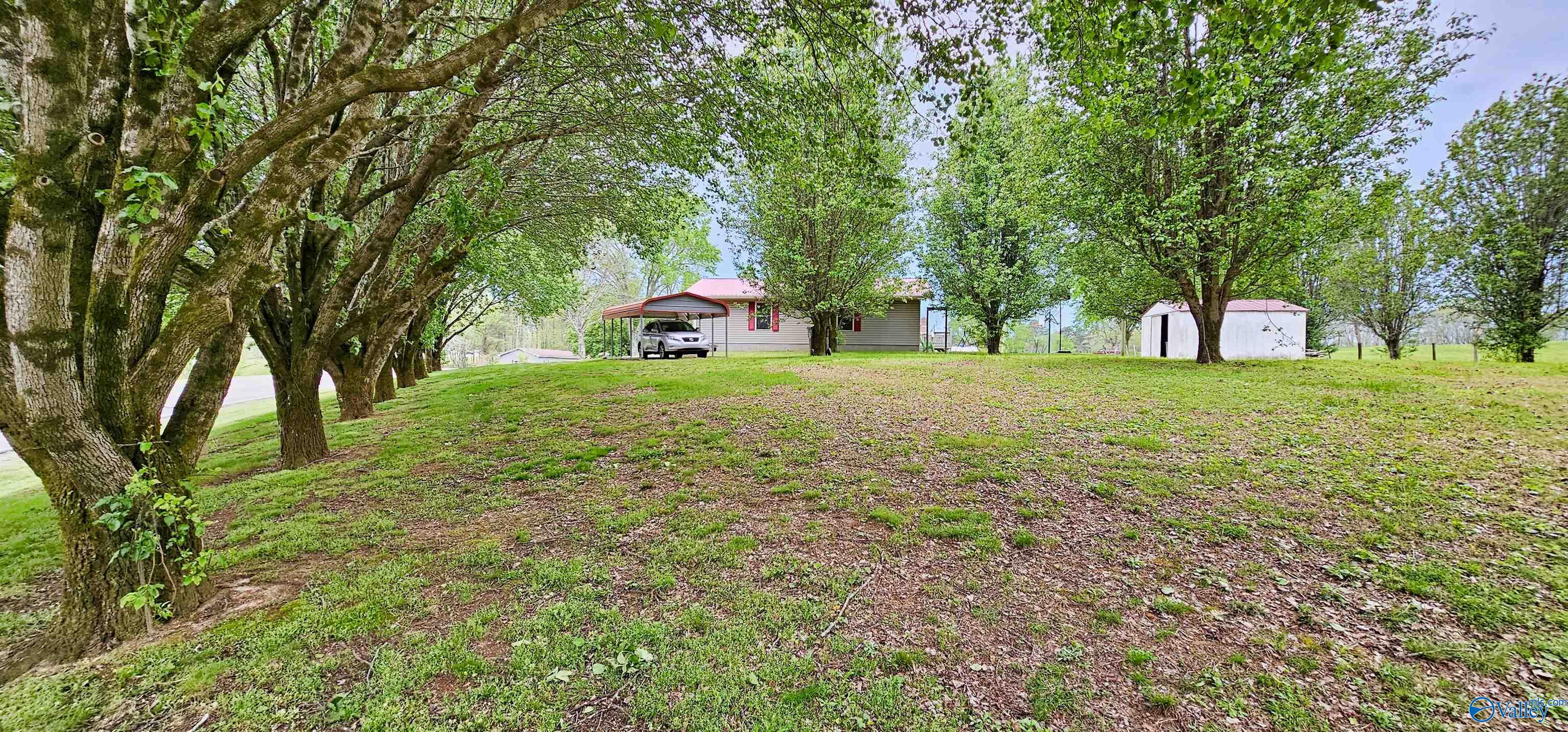 3371 County Road 8, Woodville, Alabama image 12