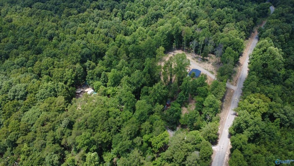 2194 COUNTY ROAD 189, BRIDGEPORT, AL 35740 - Image ce047083d33ffecfc4dc262e67d19b67/3526477197