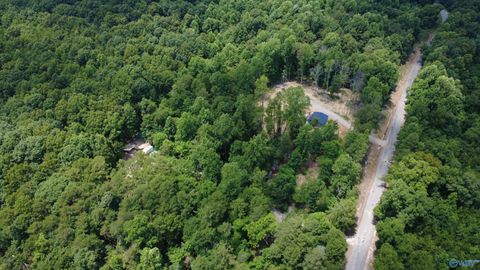 Vacant Land For Sale - 2194 County Road 189<br/> Bridgeport, AL 35740