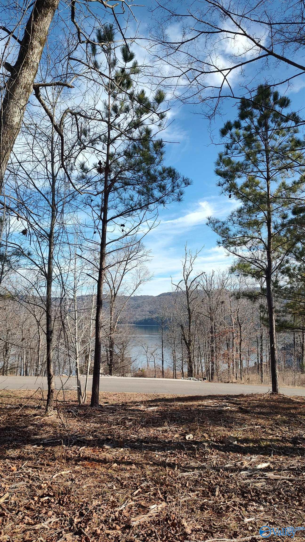 147 Lookout Mountain Drive, Scottsboro, Alabama image 5