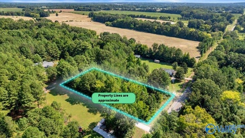 Vacant Land For Sale - 7609 Snake Road<br/> Athens, AL 35611