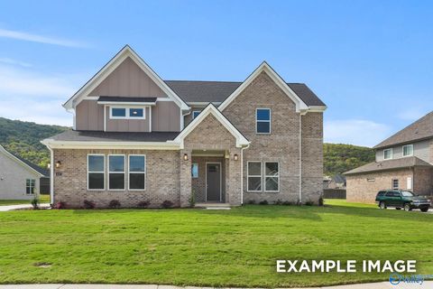 Photo of 7525 Speckle Belly Boulevard, Owens Cross Roads, AL 35763 (MLS # 21917275)