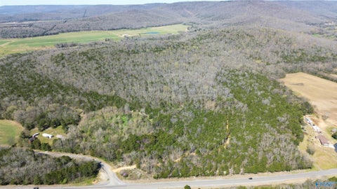 Vacant Land For Sale - 19 County Road 30<br/> Scottsboro, AL 35768