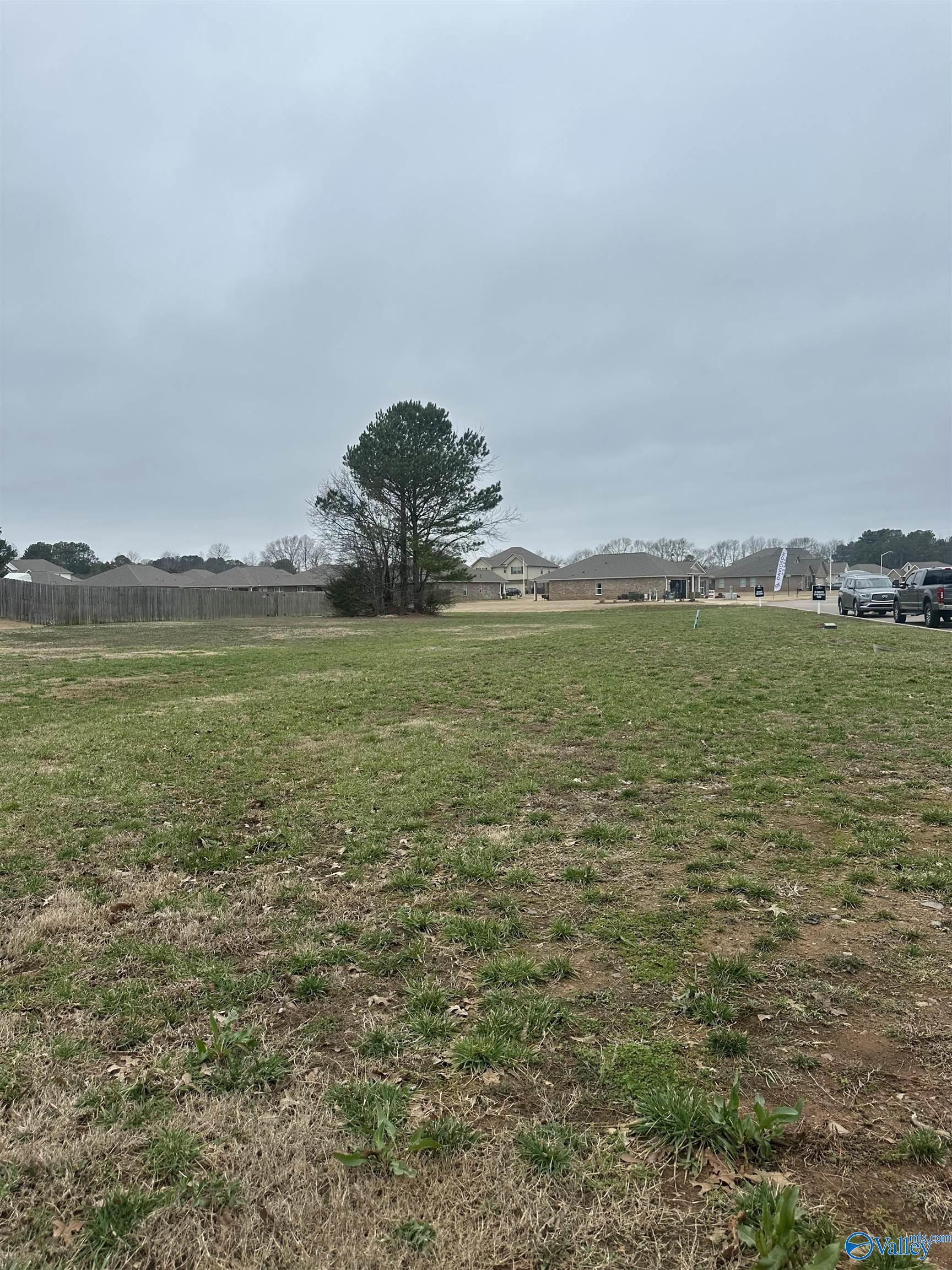 Tract 1 Old Railroad Bed Road, Harvest, Alabama image 1