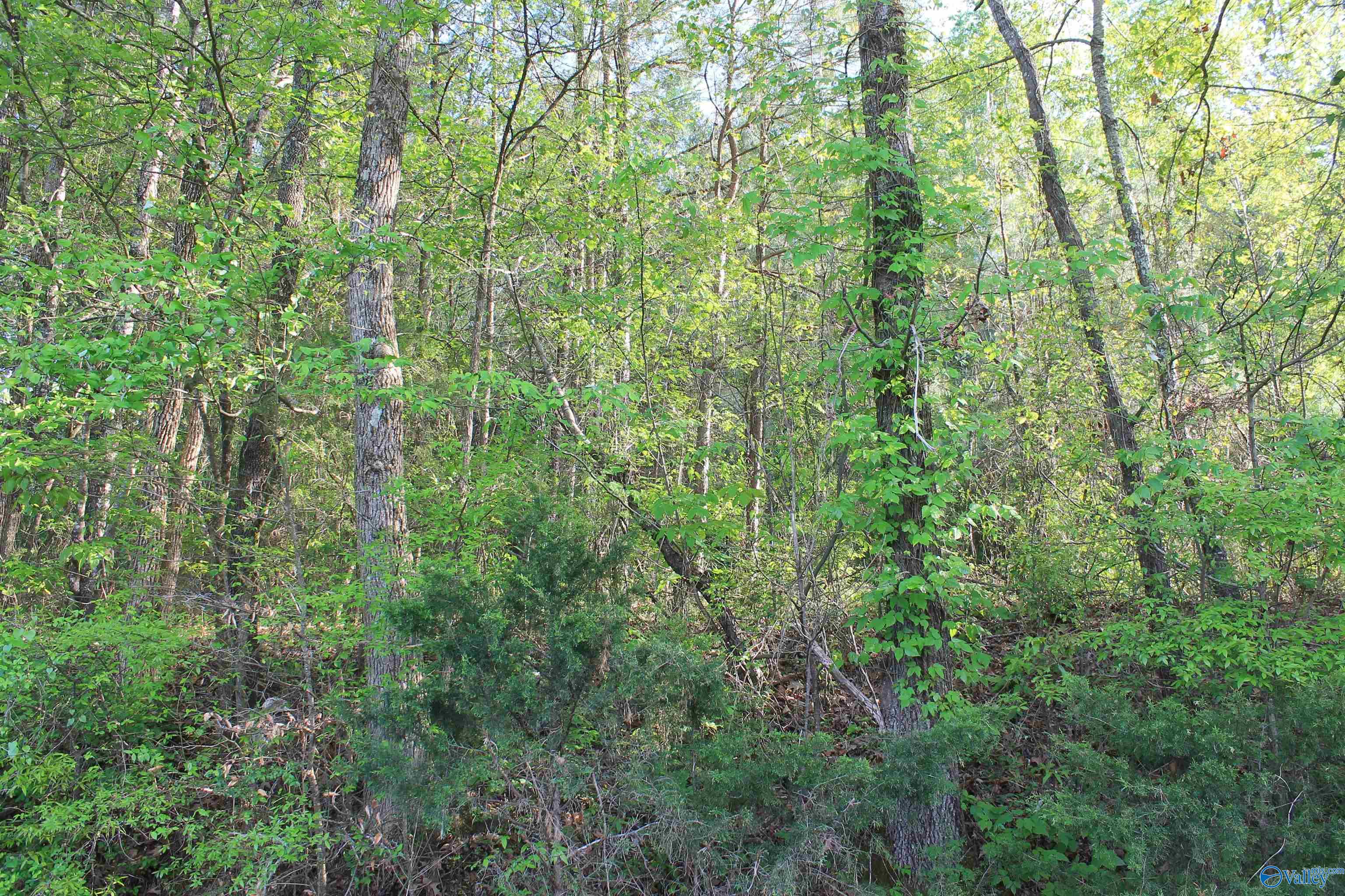 6.65 West Lacon Road