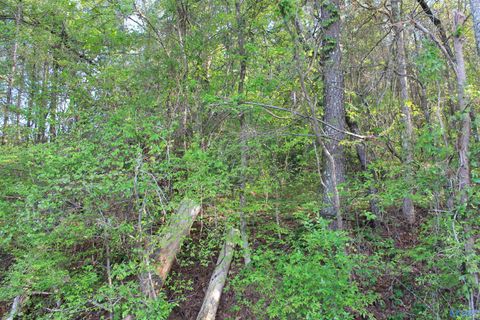 Vacant Land For Sale - 6.65 West Lacon Road<br/> Falkville, AL 35622