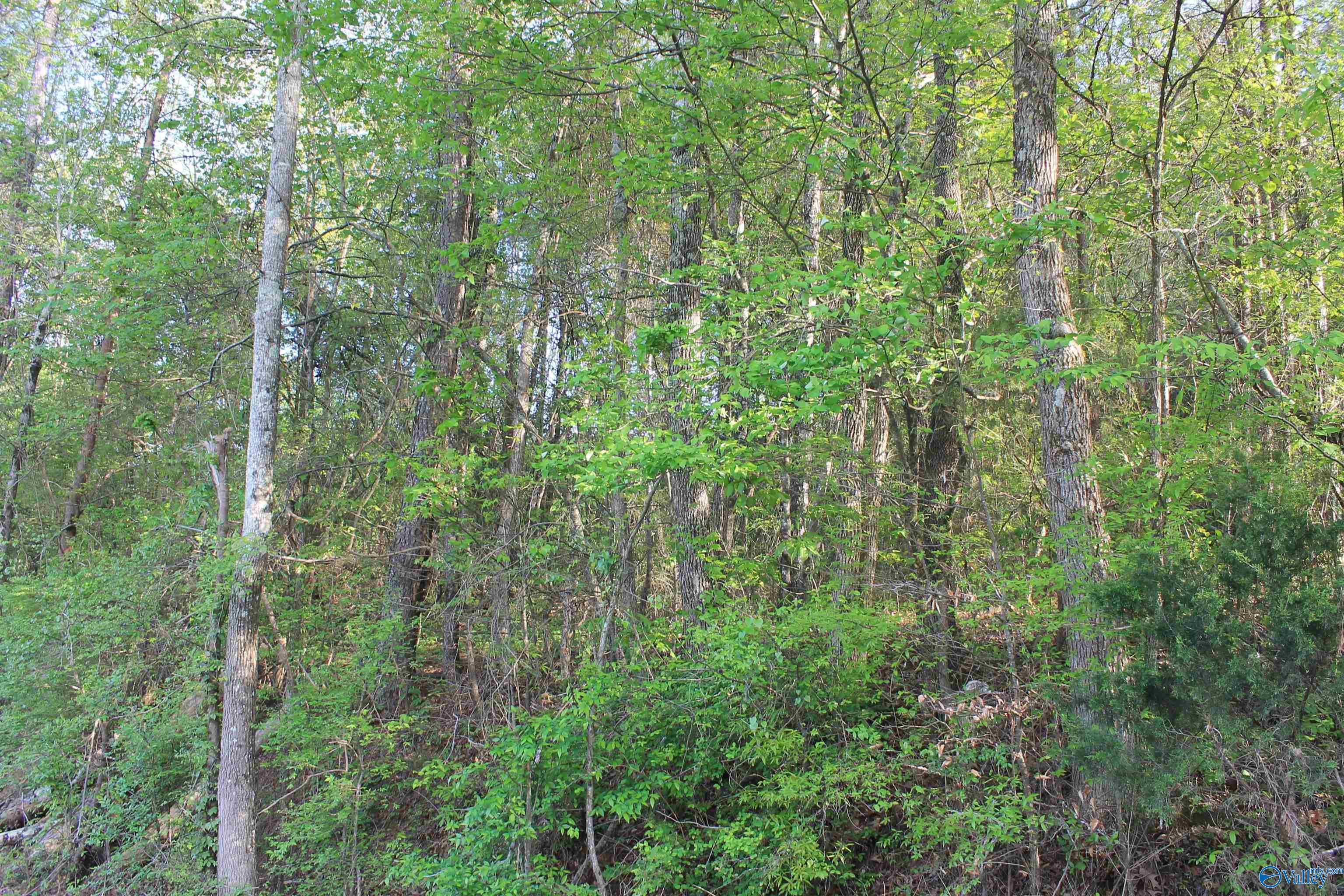 6.65 West Lacon Road