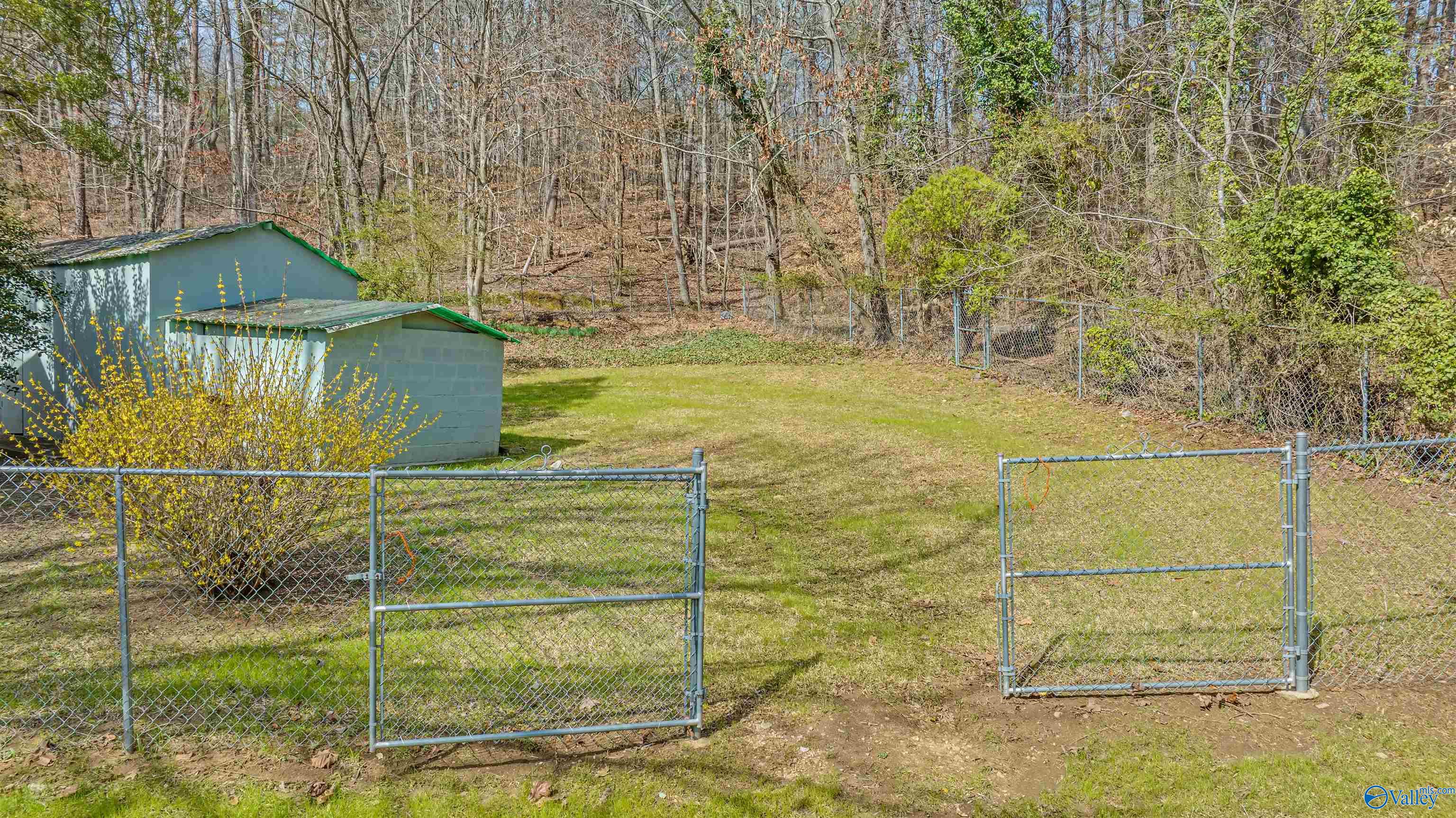 2408 Forest Avenue, Fort Payne, Alabama image 48