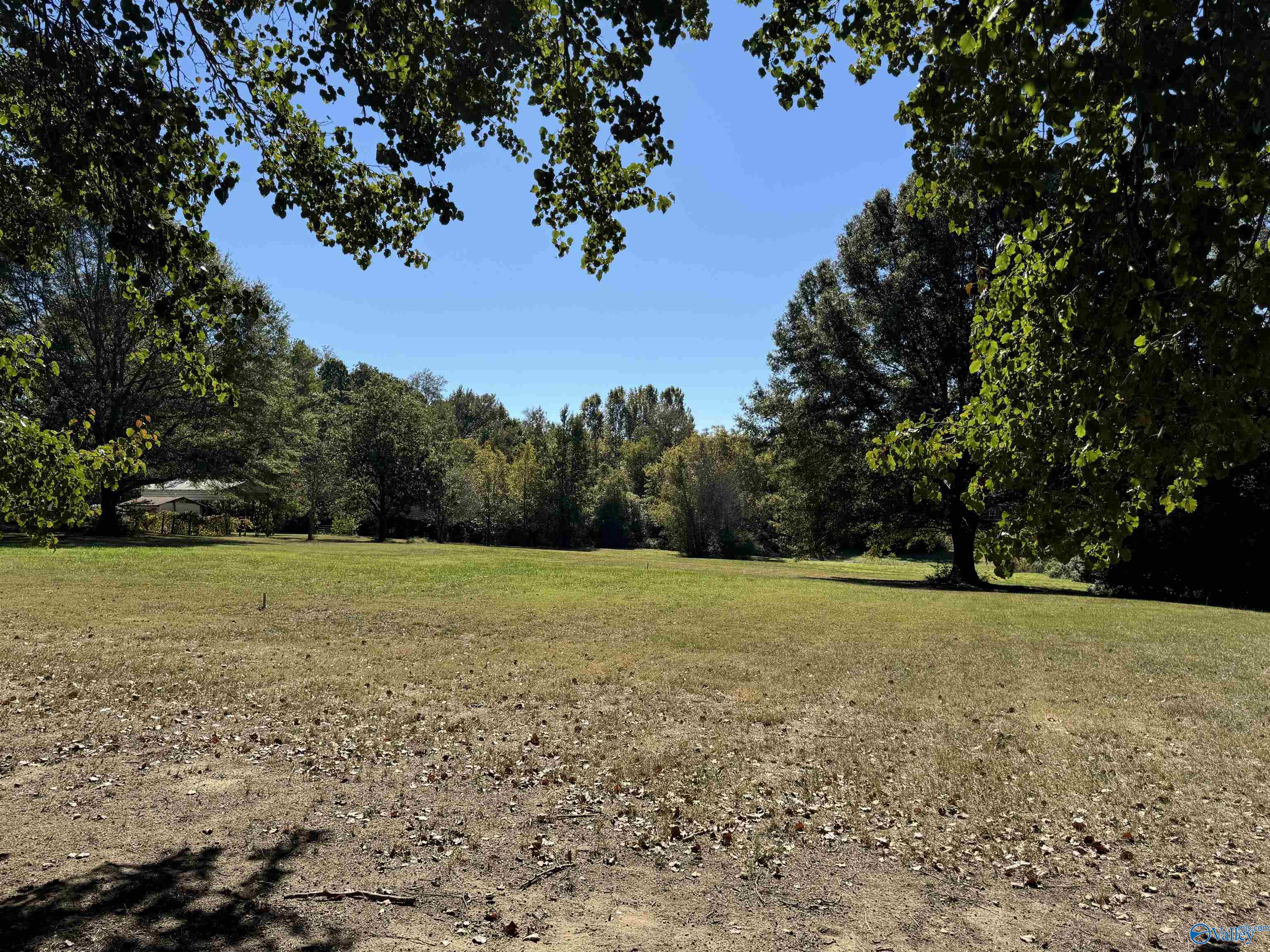 334 Fry Gap Road #3.63 +/-, Arab, Alabama image 7