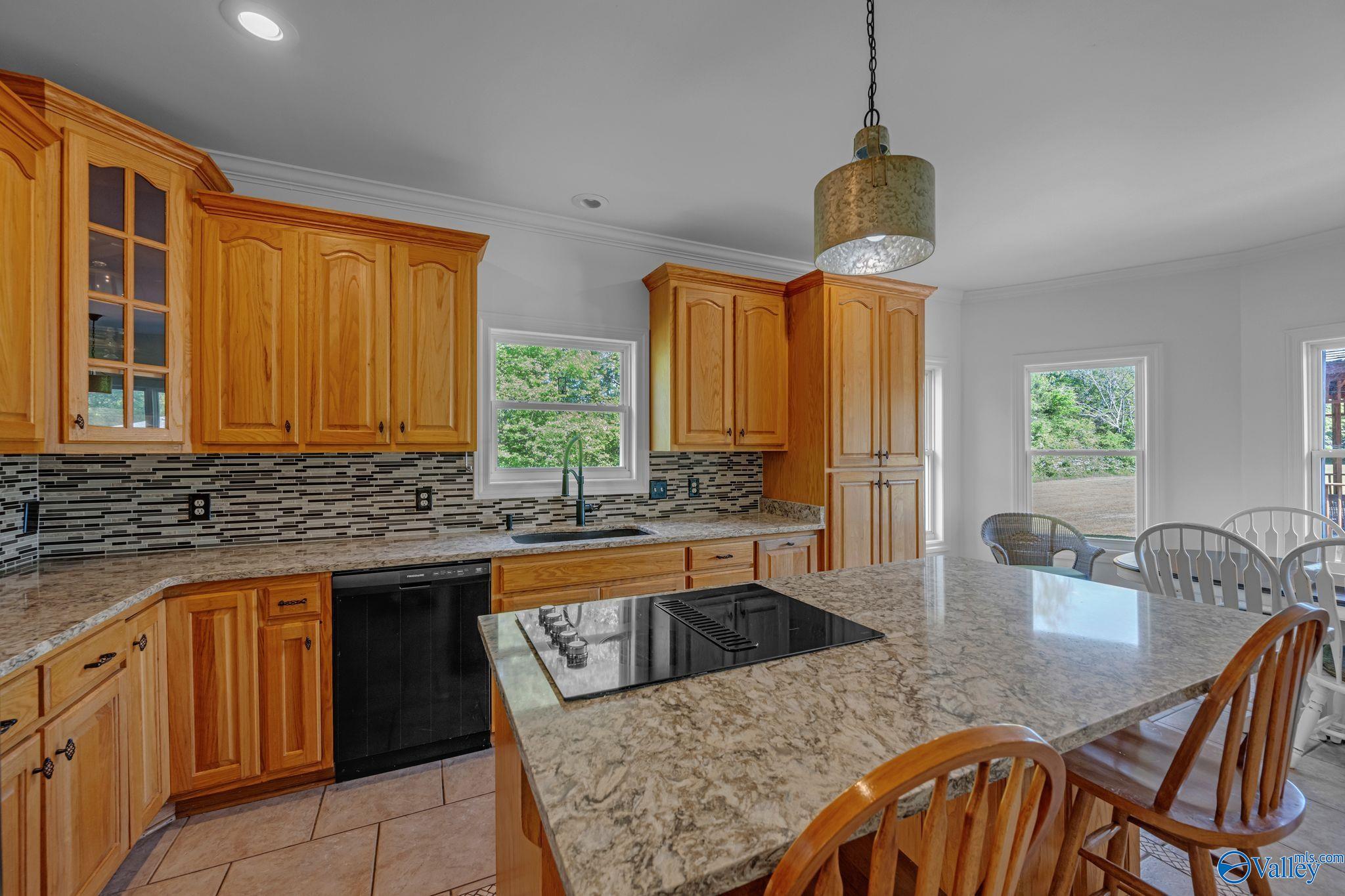 351 Randall Mullins Road, Toney, Alabama image 15
