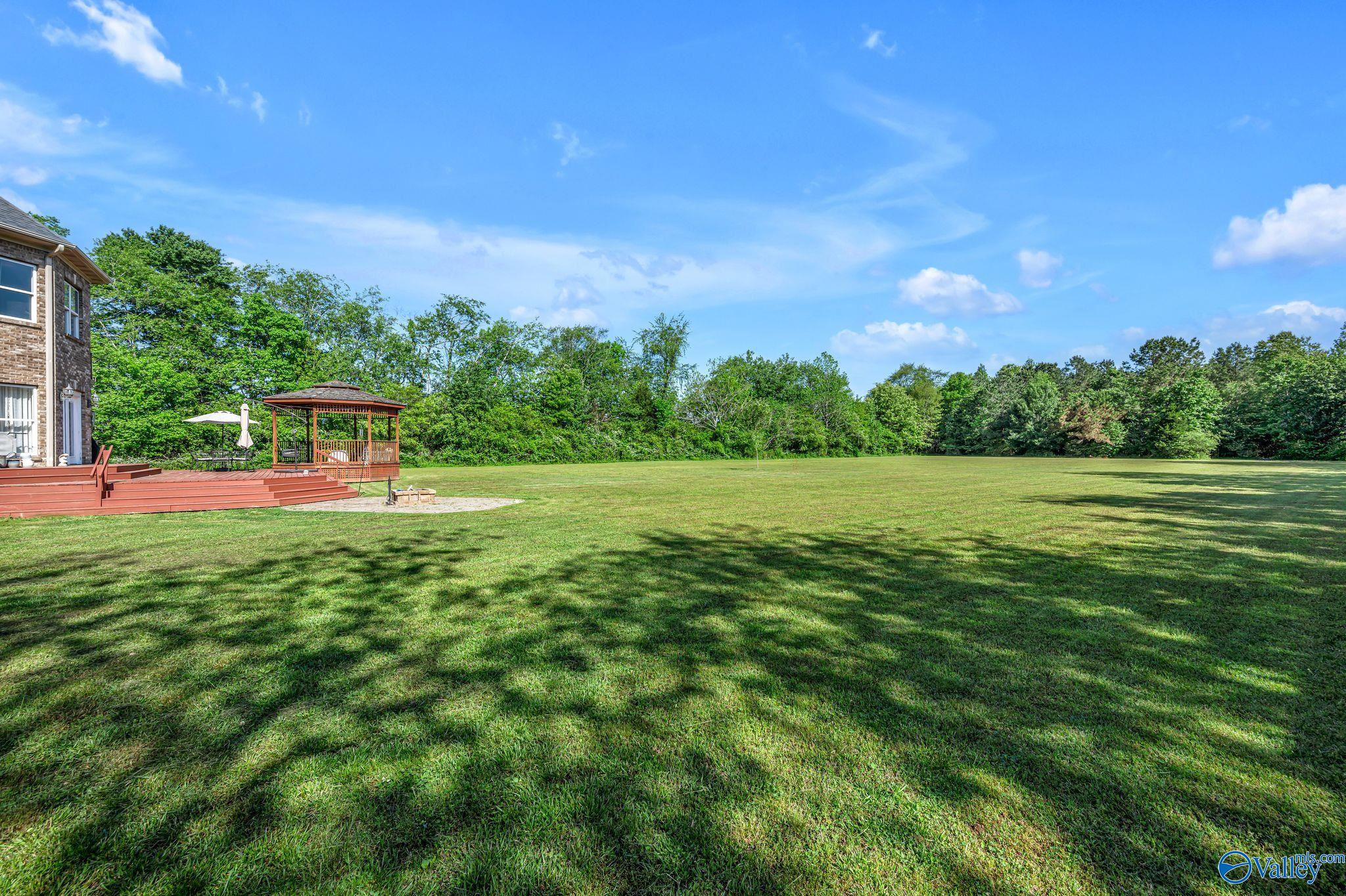 351 Randall Mullins Road, Toney, Alabama image 47