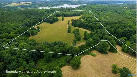 Vacant Land For Sale - 41 ACRES Richter Road<br/> Rogersville, AL 35652